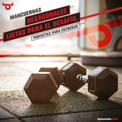 Mancuernas (26)