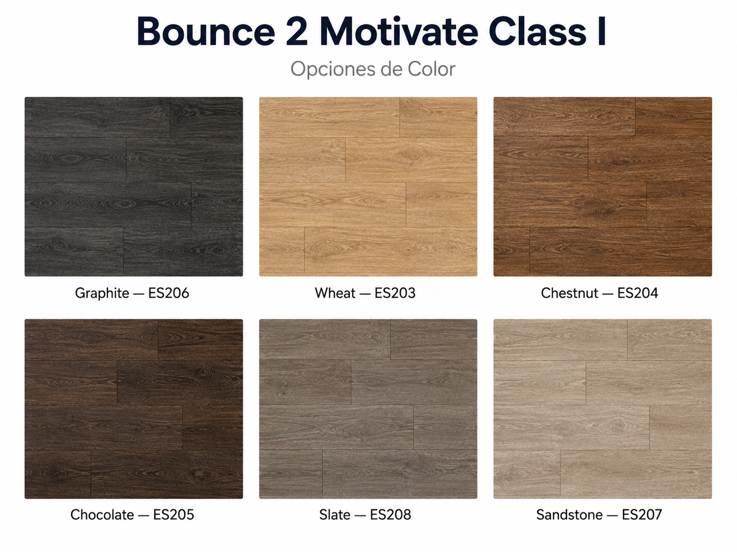 Ecore Bounce 2 Motivate Class I paleta de colores Graphite Wheat Chestnut Chocolate Slate Sandstone Profitness Distribuidor México